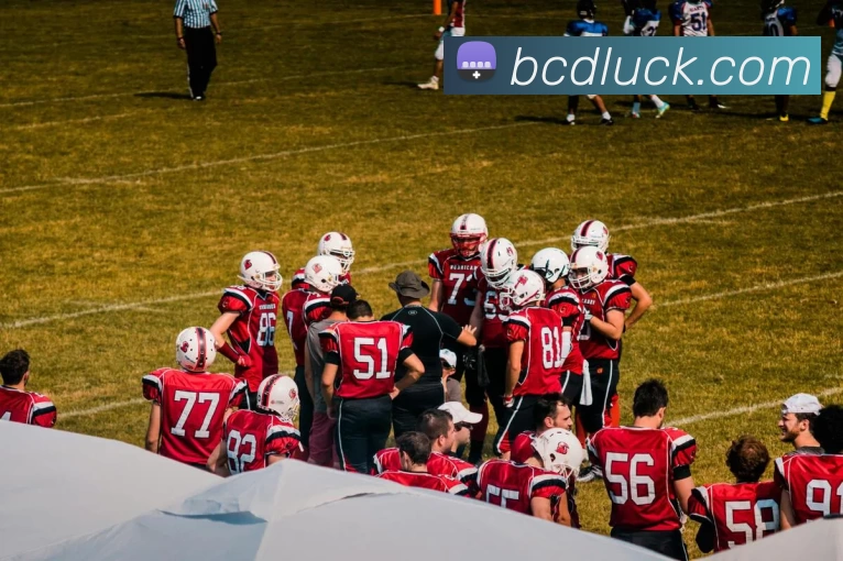 bc贷官网APP 封面图